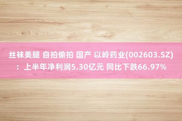 丝袜美腿 自拍偷拍 国产 以岭药业(002603.SZ)：上半年净利润5.30亿元 同比下跌66.97%