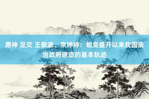 原神 足交 王敬波、宗婷婷：蜕变盛开以来我国法治政府建造的基本轨迹