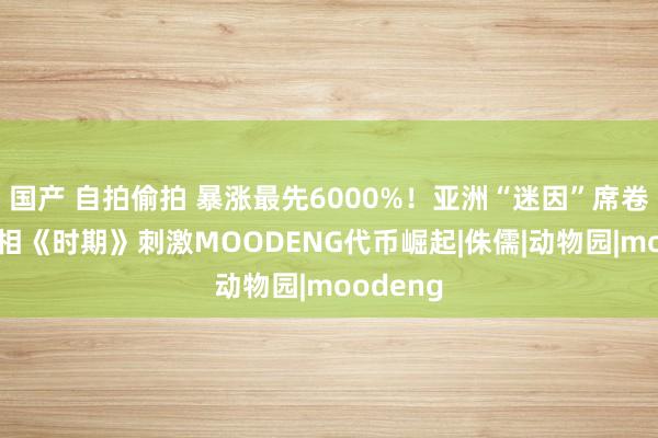 国产 自拍偷拍 暴涨最先6000%！亚洲“迷因”席卷全球 亮相《时期》刺激MOODENG代币崛起|侏儒|动物园|moodeng