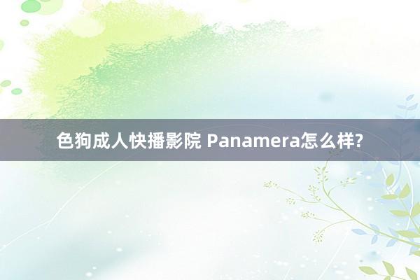 色狗成人快播影院 Panamera怎么样?