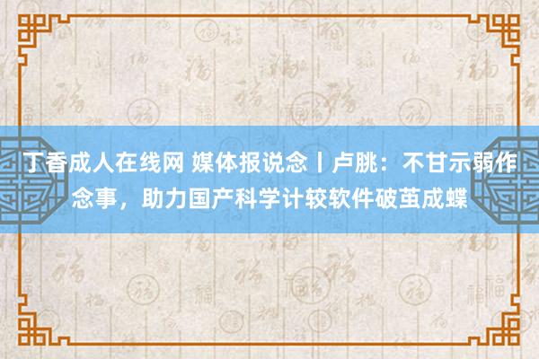 丁香成人在线网 媒体报说念丨卢朓：不甘示弱作念事，助力国产科学计较软件破茧成蝶